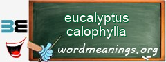 WordMeaning blackboard for eucalyptus calophylla